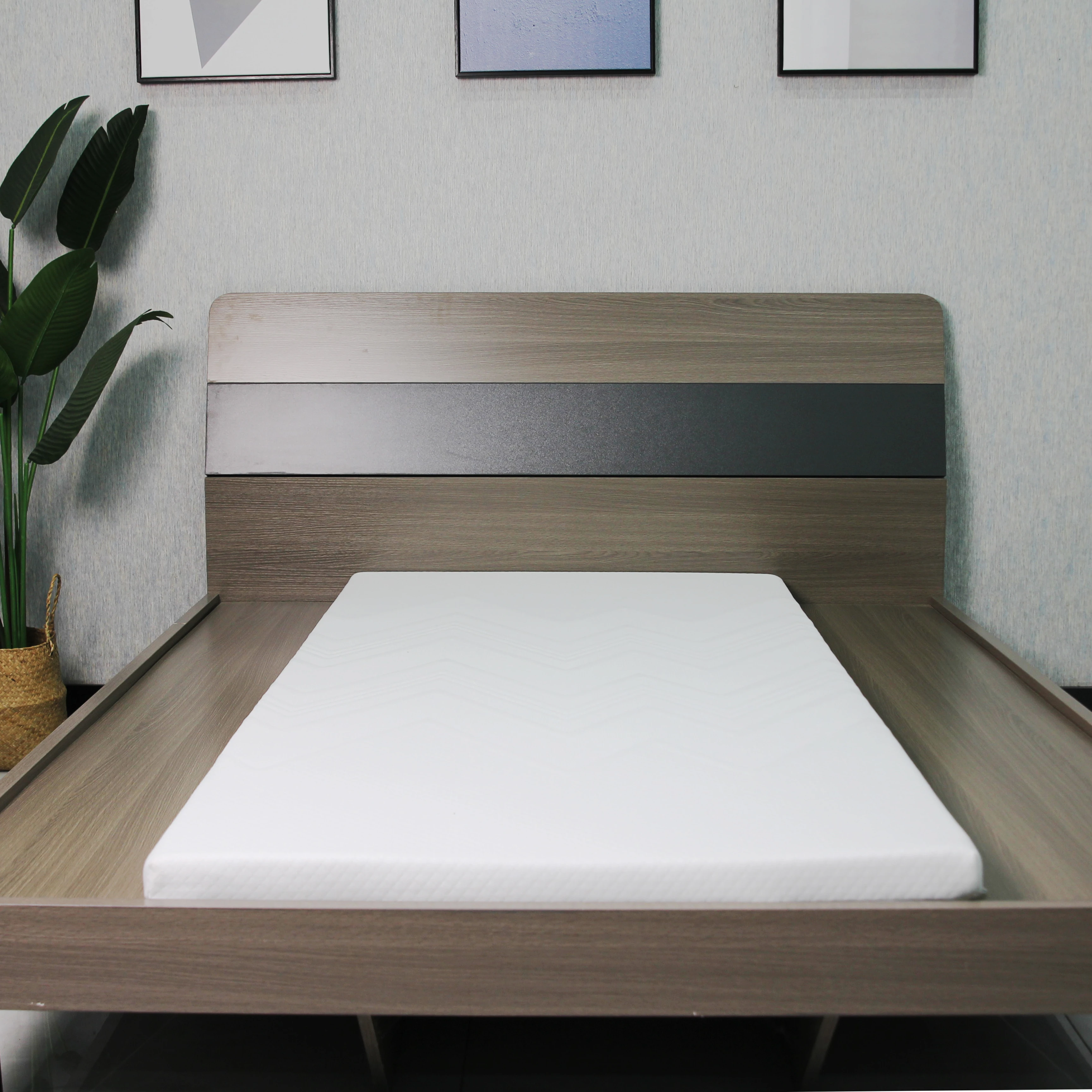 Super Thin Foam Mattress/Topper