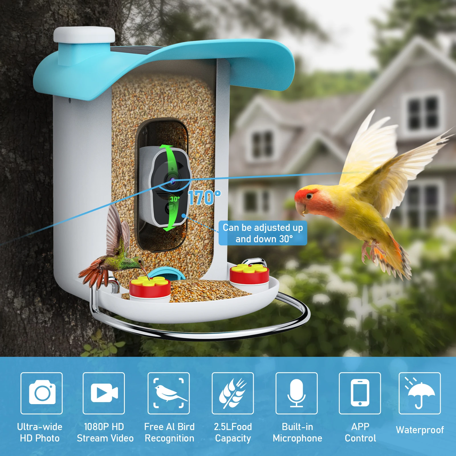 2024 New Factory Wholesale Outdoor Waterproof IP65 Solar Powered Free AI Bird Identification Smart Bird Food Feeder With Camera