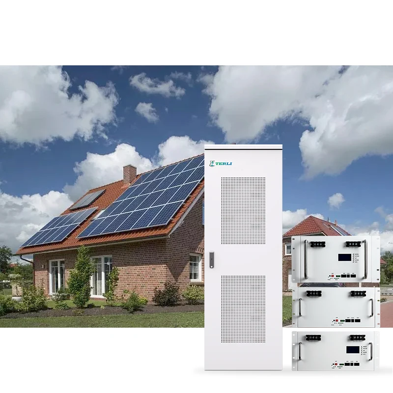 Rechargeable 48v 100ah Li Ion Battery 48vlithium Ion Battery For E Bikes