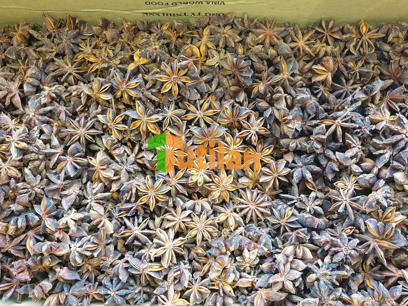 Оптовая продажа с завода самая низкая цена и лучшее качество специи приправы Звездный анис чистый Вьетнам