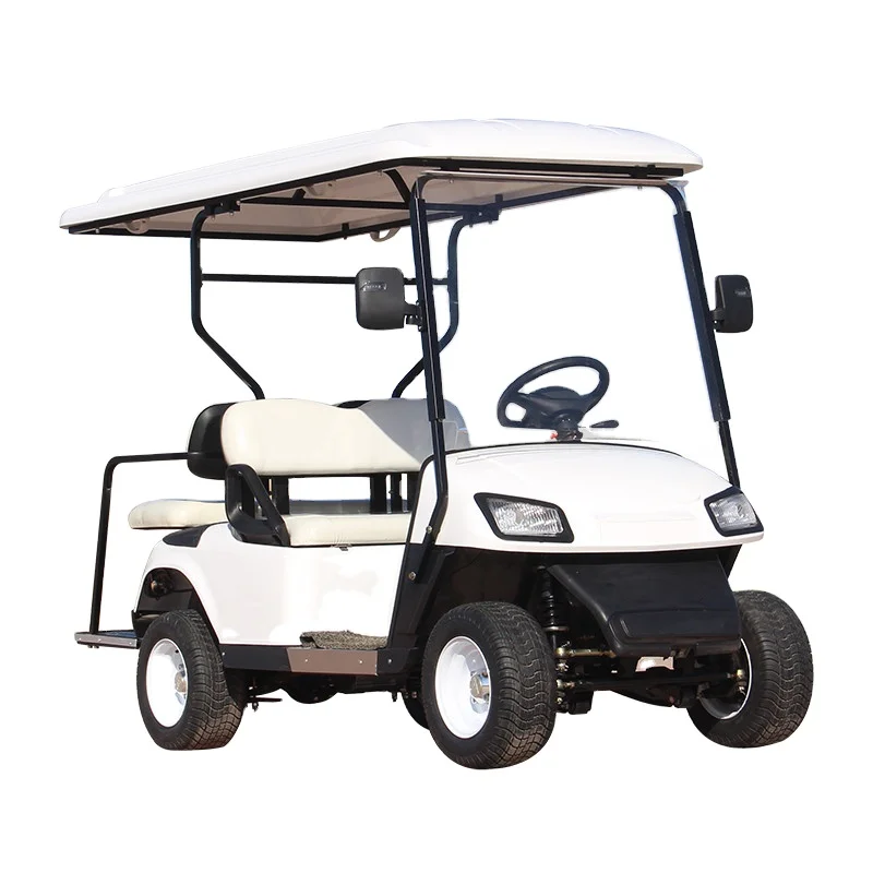 Low Price 2 or 4Seats Golf Cart with High Quality