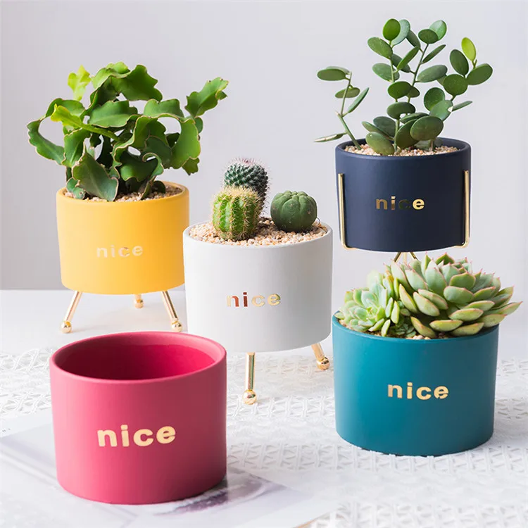 Wholesales Factory High Quality Nordic Colorful Lovely Ceramic Vase for Home Decoration and Wedding