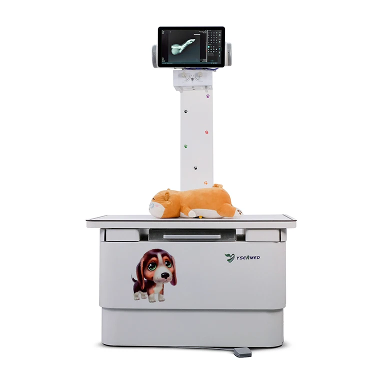 High Quality YSDR-VET200 Veterinary Digital X Ray Machine Pet Digital X Ray System For Large Animals