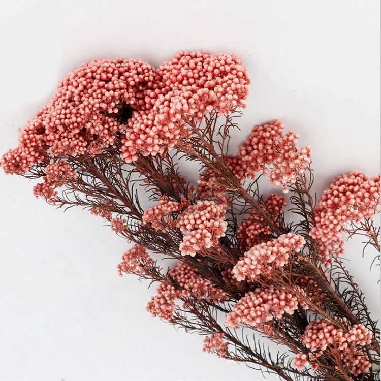 Natural small dried preserved millet flower rice flowers floral decors wedding design