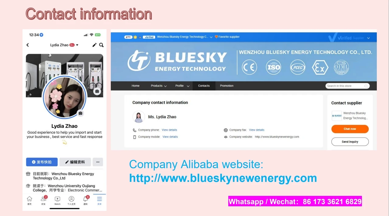 Bluesky  Smart 3000L  6000L Mini Micro Mobile Container Portable Fuel Station Dispenser Built In Tank