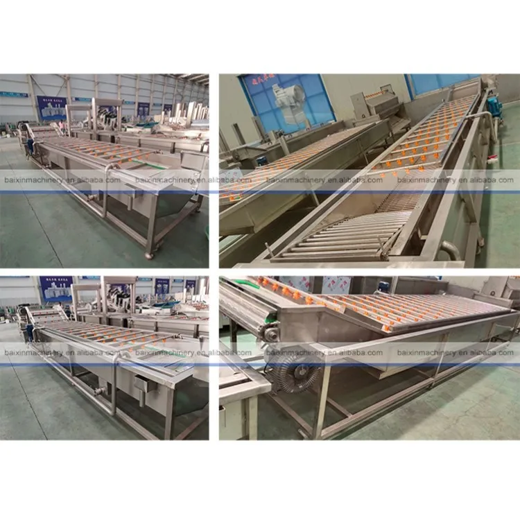 Air Bubble Ozone Fruit And Vegetable Salad Washer Jujube Cleaning Line Citrus Washing Machine