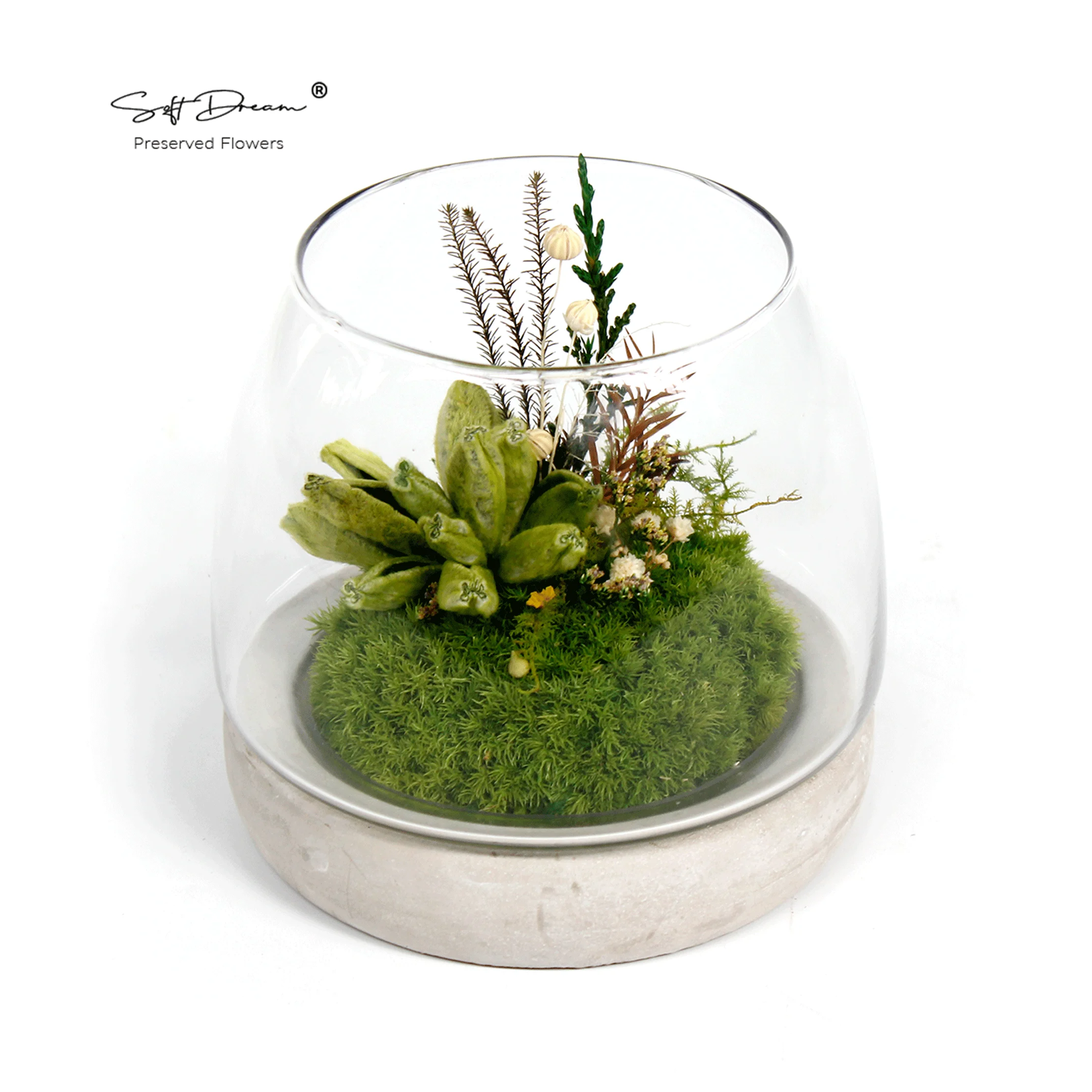 Eternal Beauty: Preserved Moss, Cotton Wool Sage Leaves, and Everlasting Floral Decor for Home and Gift