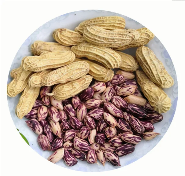 2021 fresh F1 hybrid High yield big colorful peanut seeds/Rich nutrition for planting