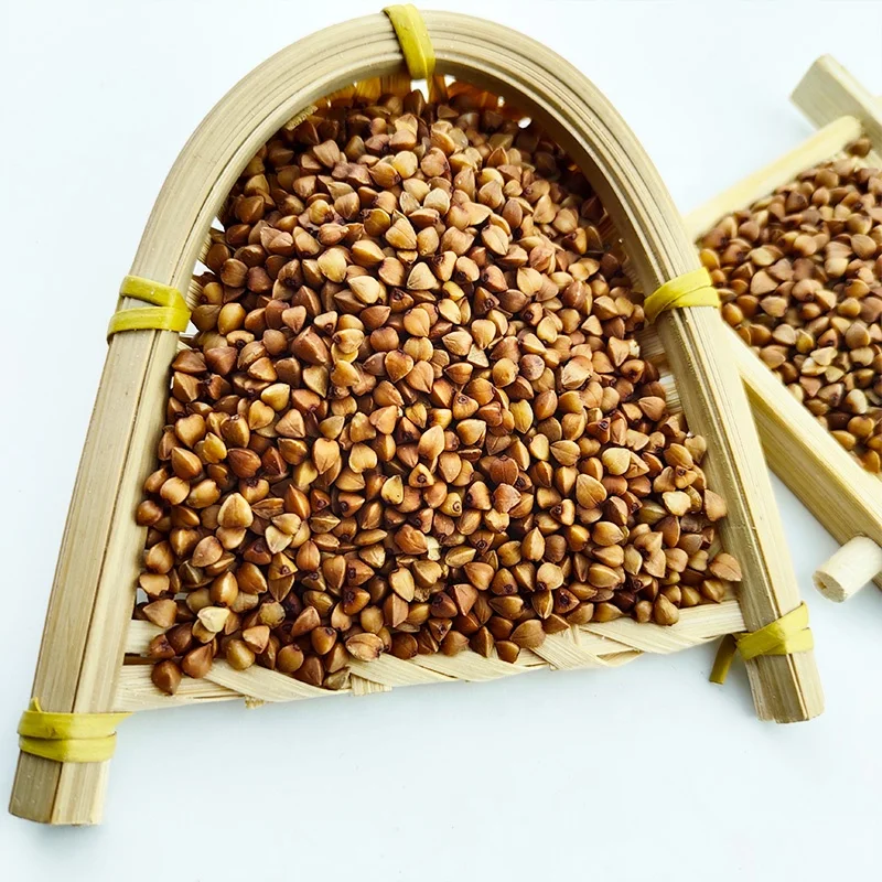 High Quality Natural Organic Buckwheat/Roasted Buckwheat Kernel for sale