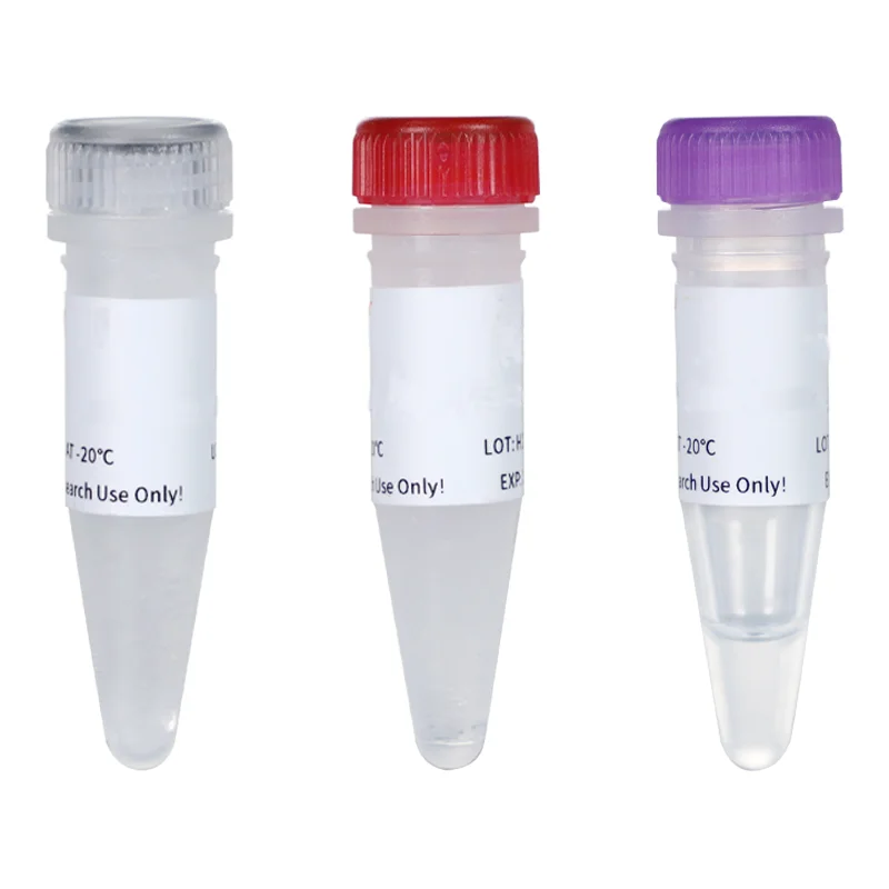Количественный PCR реагент с обратной транскрипцией master mix hot start UDG Plus Multiplex один шаг RT-qPCR набор зондов