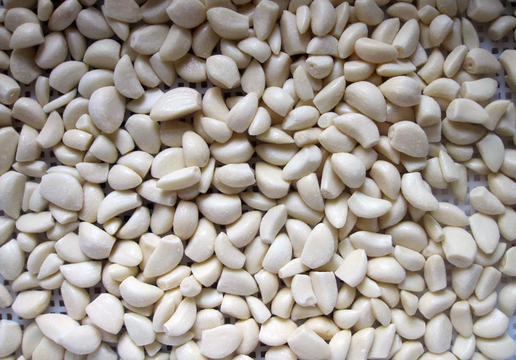 China Bulk Wholesale Distribute IQF frozen sliced garlic