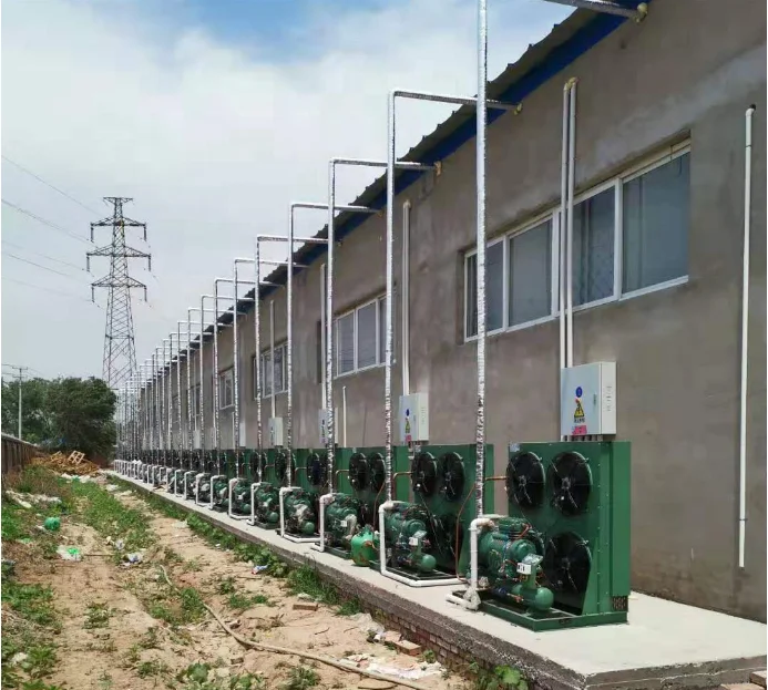 RUIXUE commercial blast freezer customized cold room with panels and door