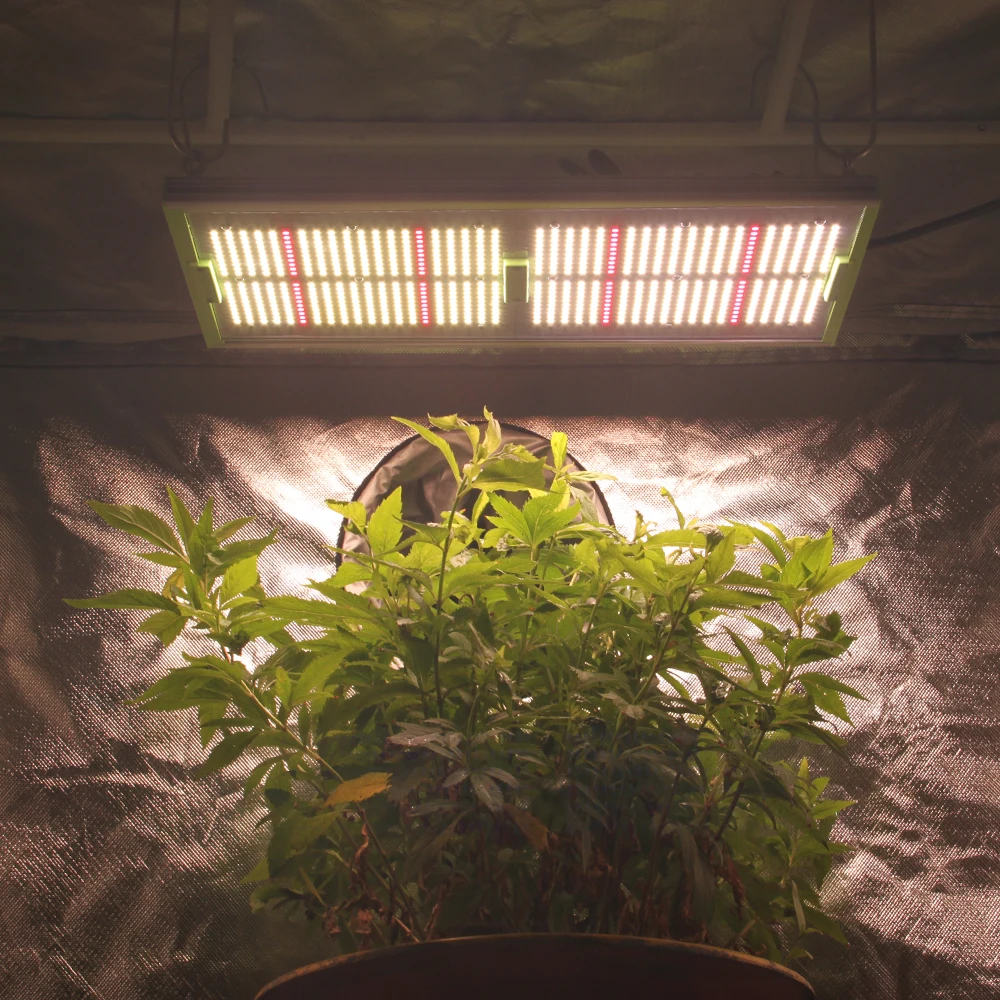 Aglare  240w lm301h full spectrum led aquarium light with  3500k indoor led plant grow lamp