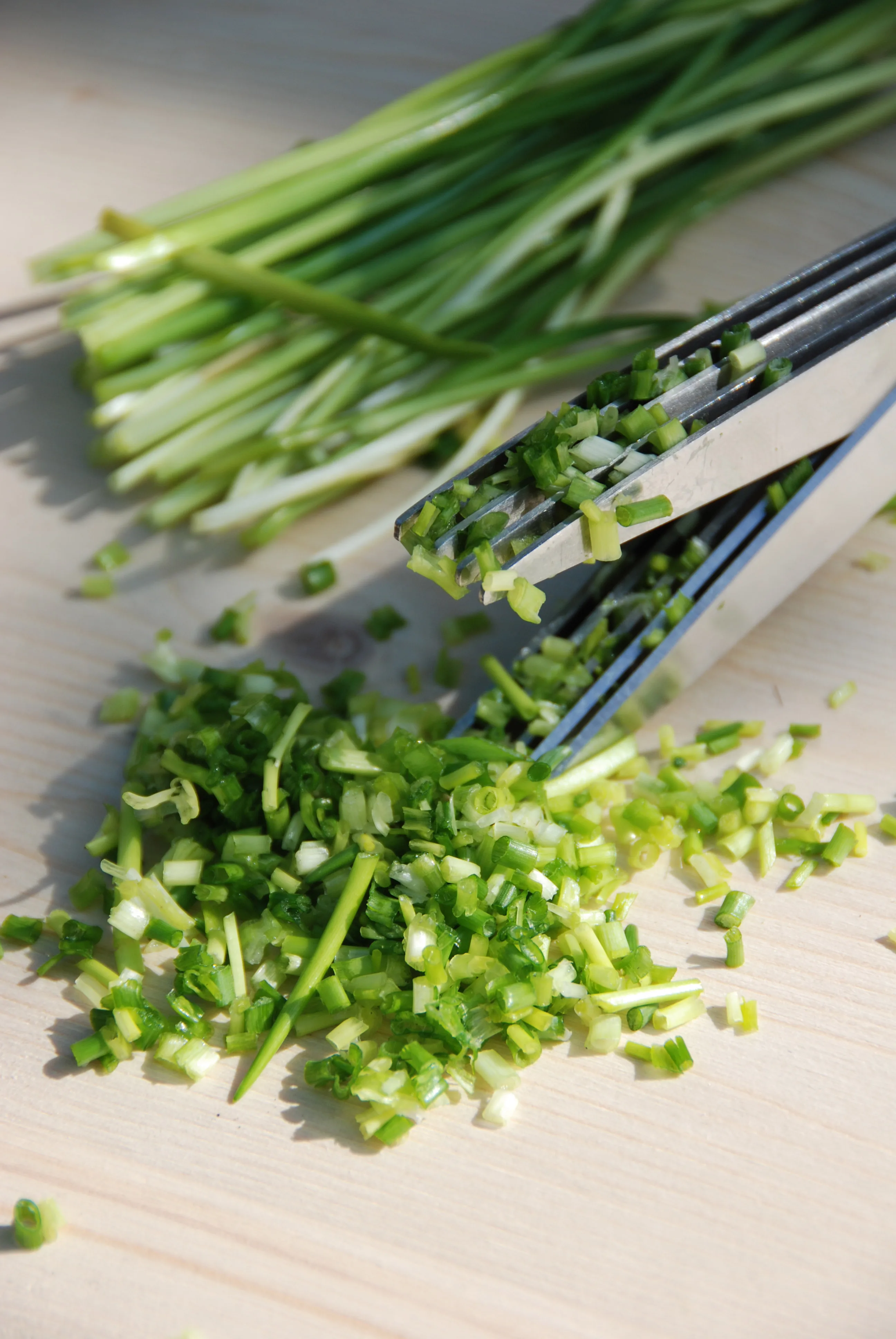 custom chopped scissors onion herb seaweed spice kitchen shears stainless steel cutting 5 blade herb scissors