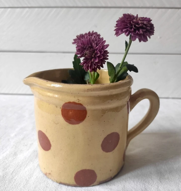 Terracotta Savoy polka dot milk jug