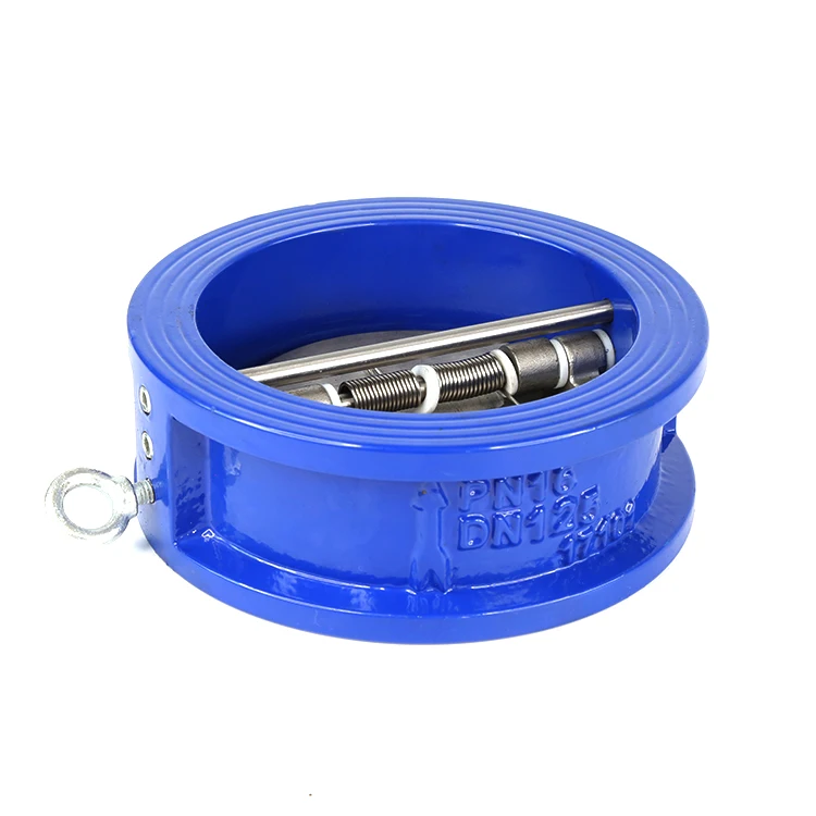 Cast Iron Dual Plate Spring Wafer Check Valve
