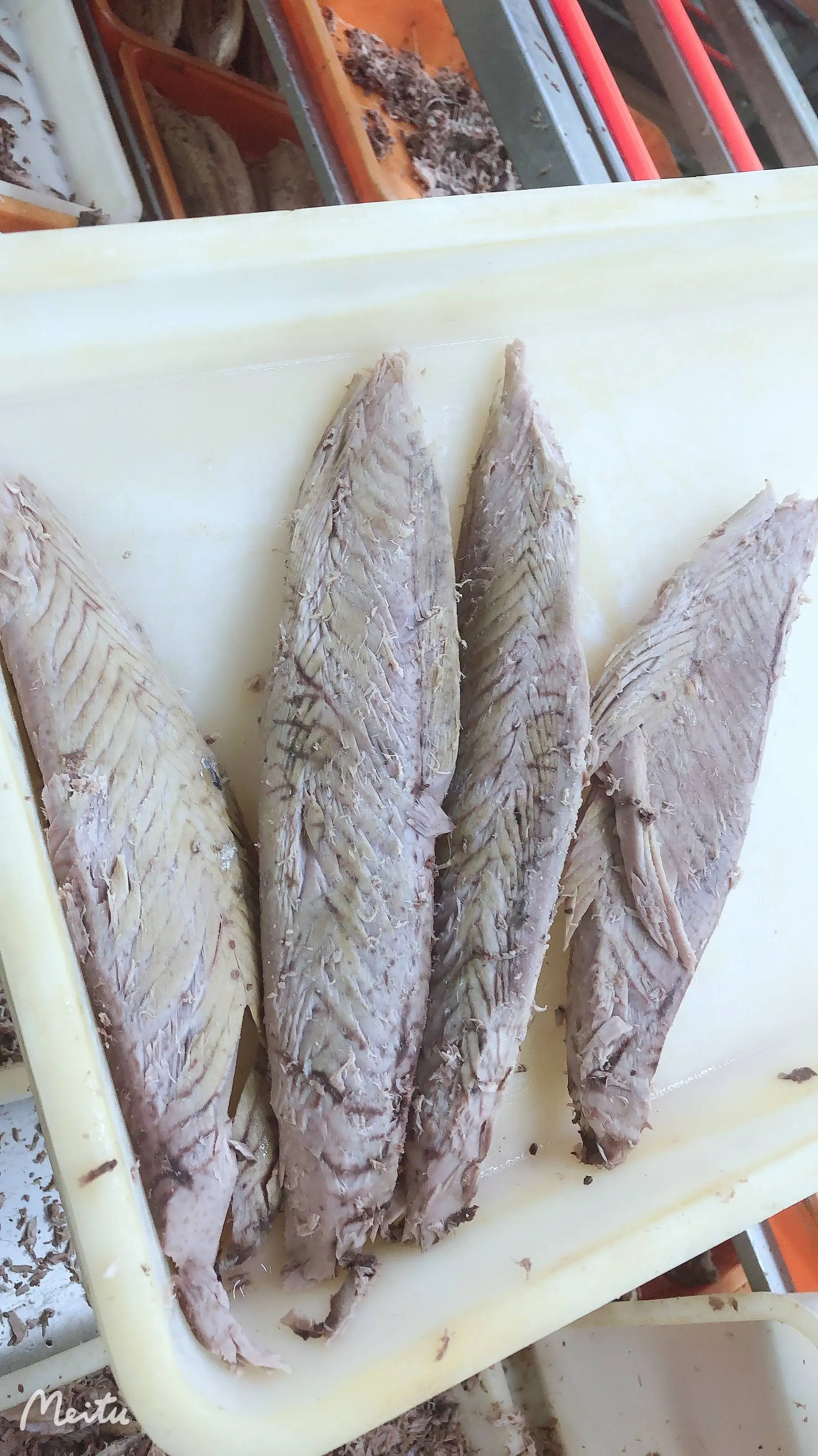 Hot Sale Frozen Precooked Skipjack Tuna Fish Loin Factory-Dried Tuna in Bulk Water Preservation Direct Factory Supply