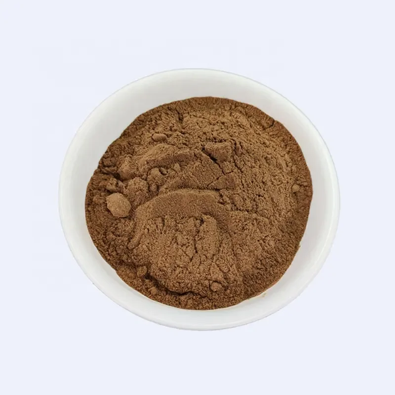 Angelica Root Extract Angelica Sinensis Extract Powder 10:1Angelica Extract