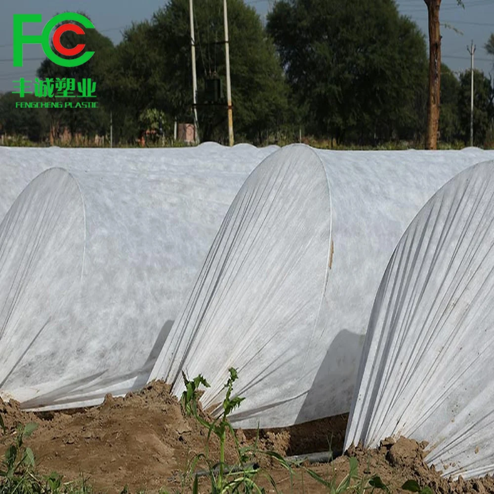 Spunbond Non Woven Agriculture Plant Cover Frost Protection Nonwovens