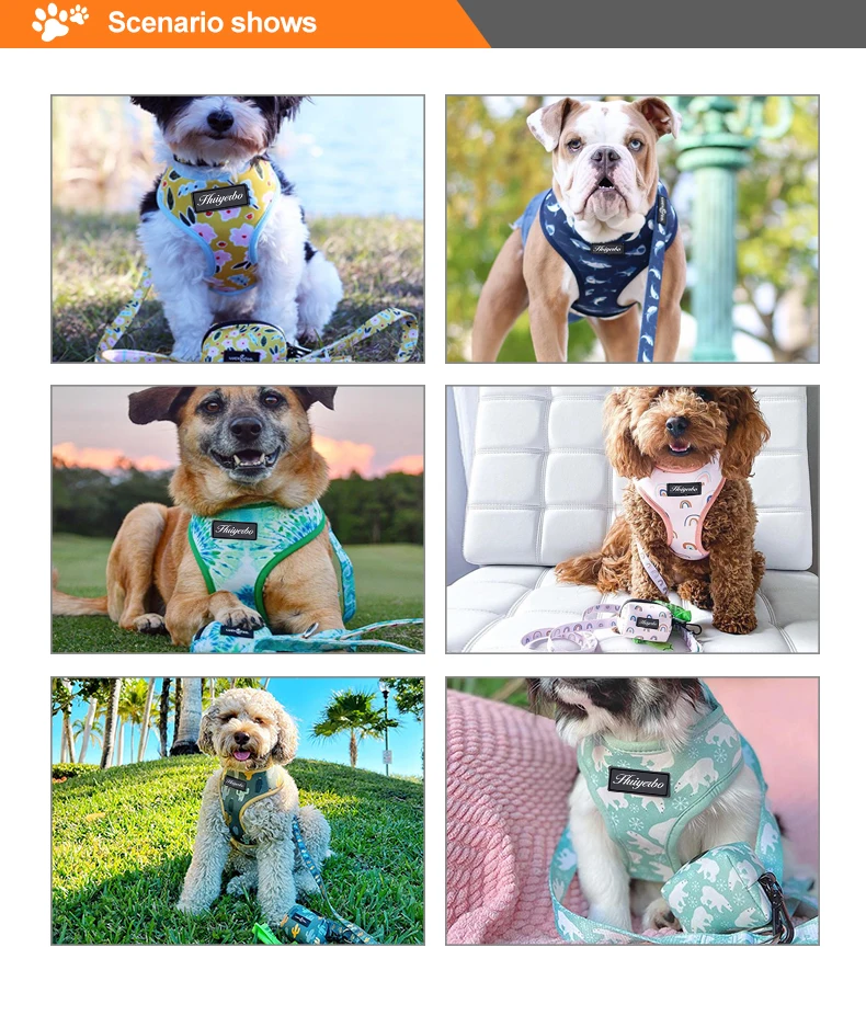 9dog harness.jpg