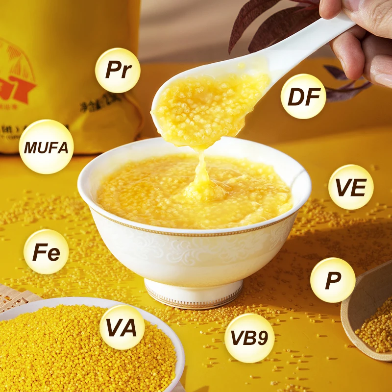 2kg (500g*4) Non-glutinous Yellow Millet Organic Millet Grain Dried Foxtail Millet