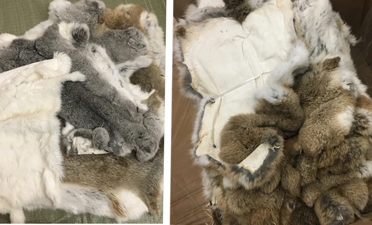 fox fur skin pelt wholesale Animal fur
