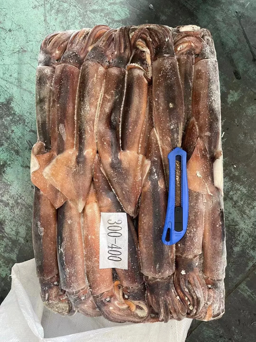 With High Popularity High Quality Good Price Fresh Frozen Illex Squid