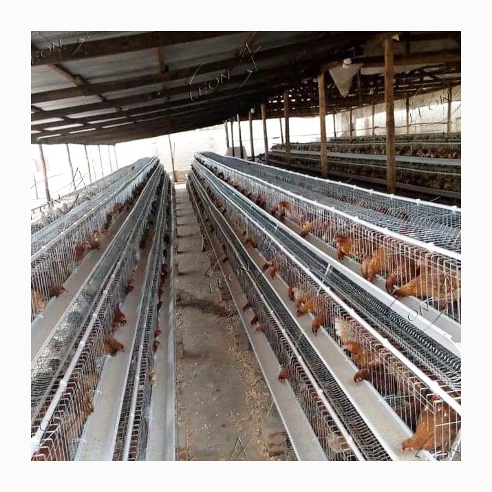 Low Price Automatic A Type Hens cage in Chicken Coop for Poultry Equipment Chicken Farming