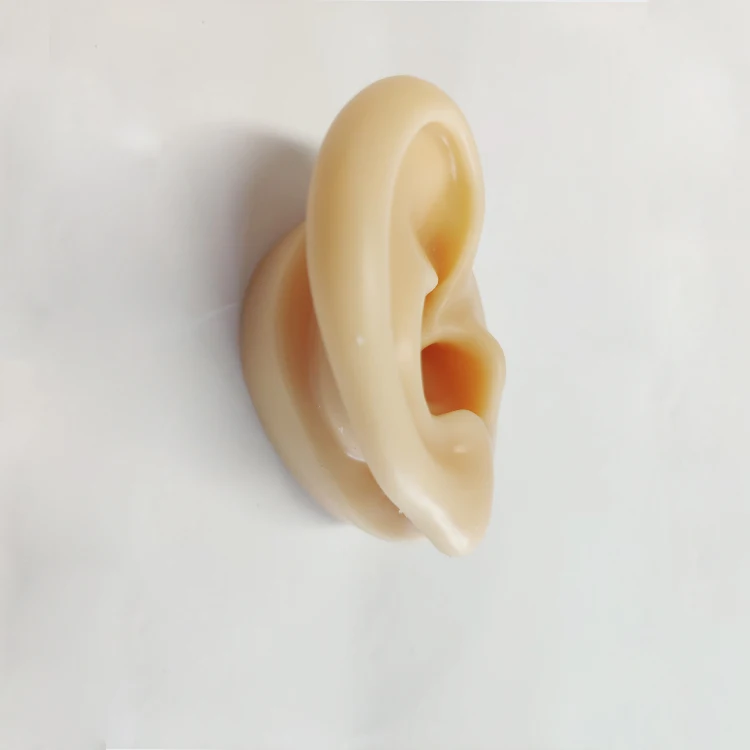 human ear molds silicone ears for earings display ear model