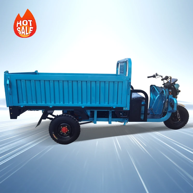 Electric tricycle 3 Wheel Cargo Electric Tricycles Motorcycle Three Wheel Adult