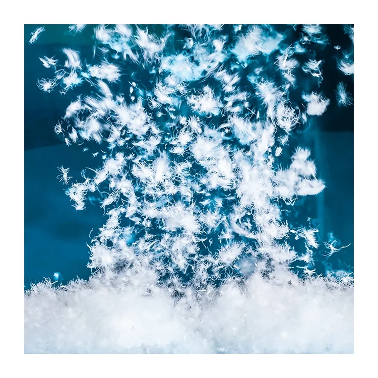 100% true capacity U.S. standard 85% filling material fill bulk wash pure white goose down