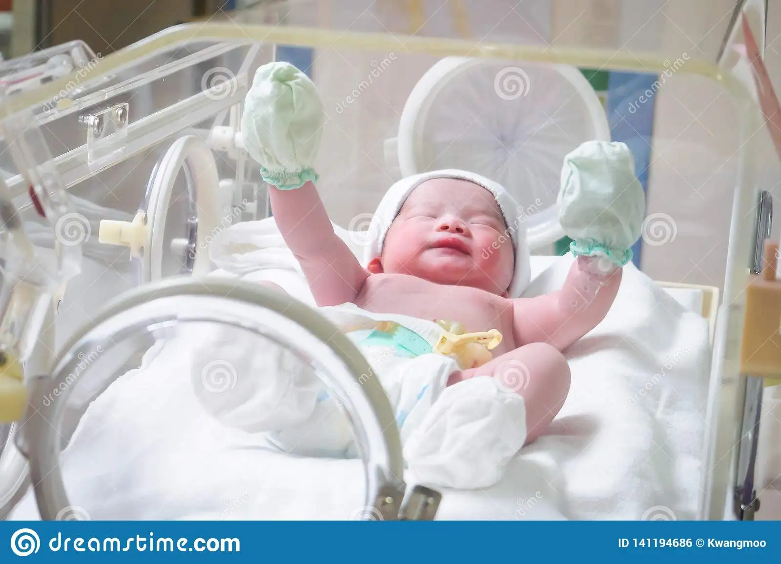 Holotis  ICU Equipment Newborn Baby Puppy Incubator with Oxygen Price