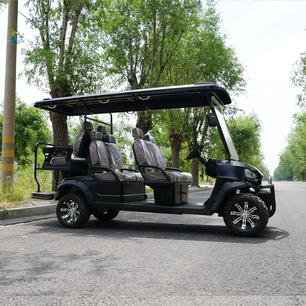 Professional Brand Electric Golf Buggy Cart with Meter High Quality Golf Carts