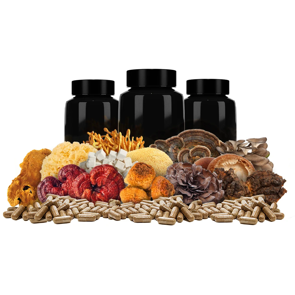 Wholesale Mushroom Supplement 12 in 1 Mushroom Blend Extract Powder with Lions Mane Reishi Corydceps Chaga or more 90 Capsules