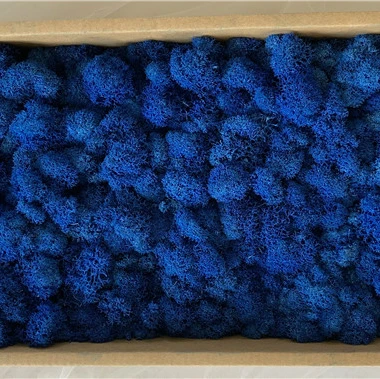 
Beautiful Multicolored preserved moss for Plant wall decorative for home decoration 