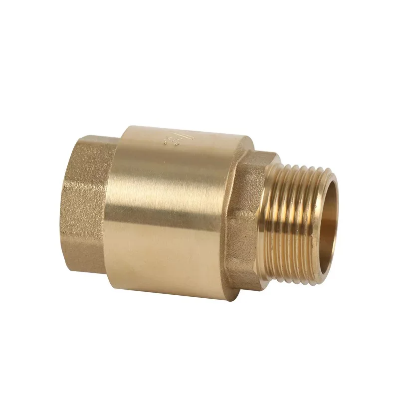Hot-sale Brass One Way Male and Female Spring Check Valve With Spring