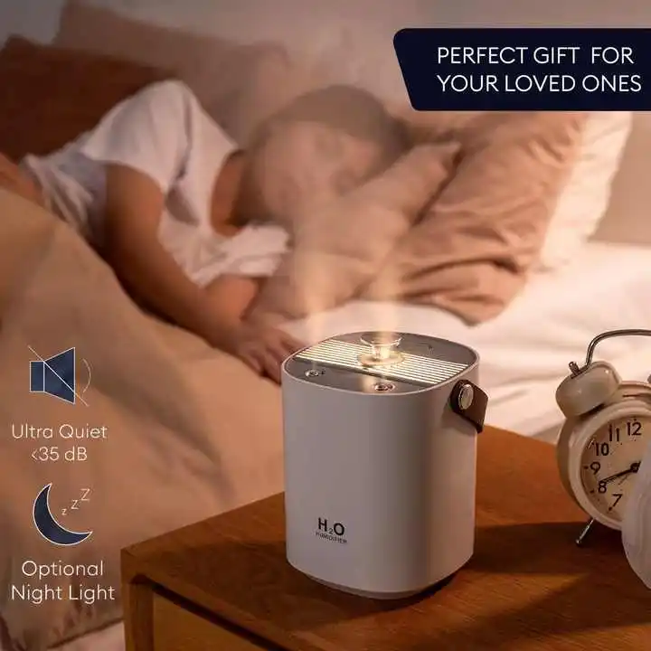 2023 new design 1.2L carrying handle double spray H2O Humidifier USB rechargeable Fashion Air Humidifiers