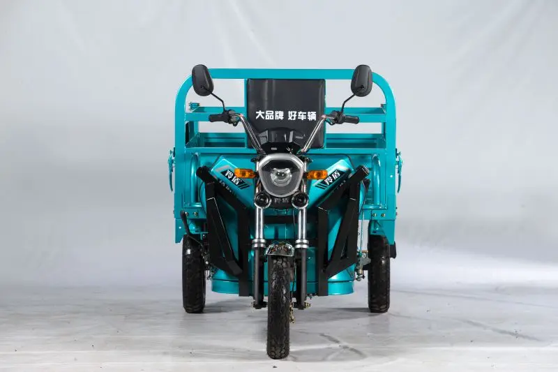 CL 3 Wheel Adults Electric Bike 3 Wheel Cargo Bike Passenger Motorcycle Adult Electric Tricycles