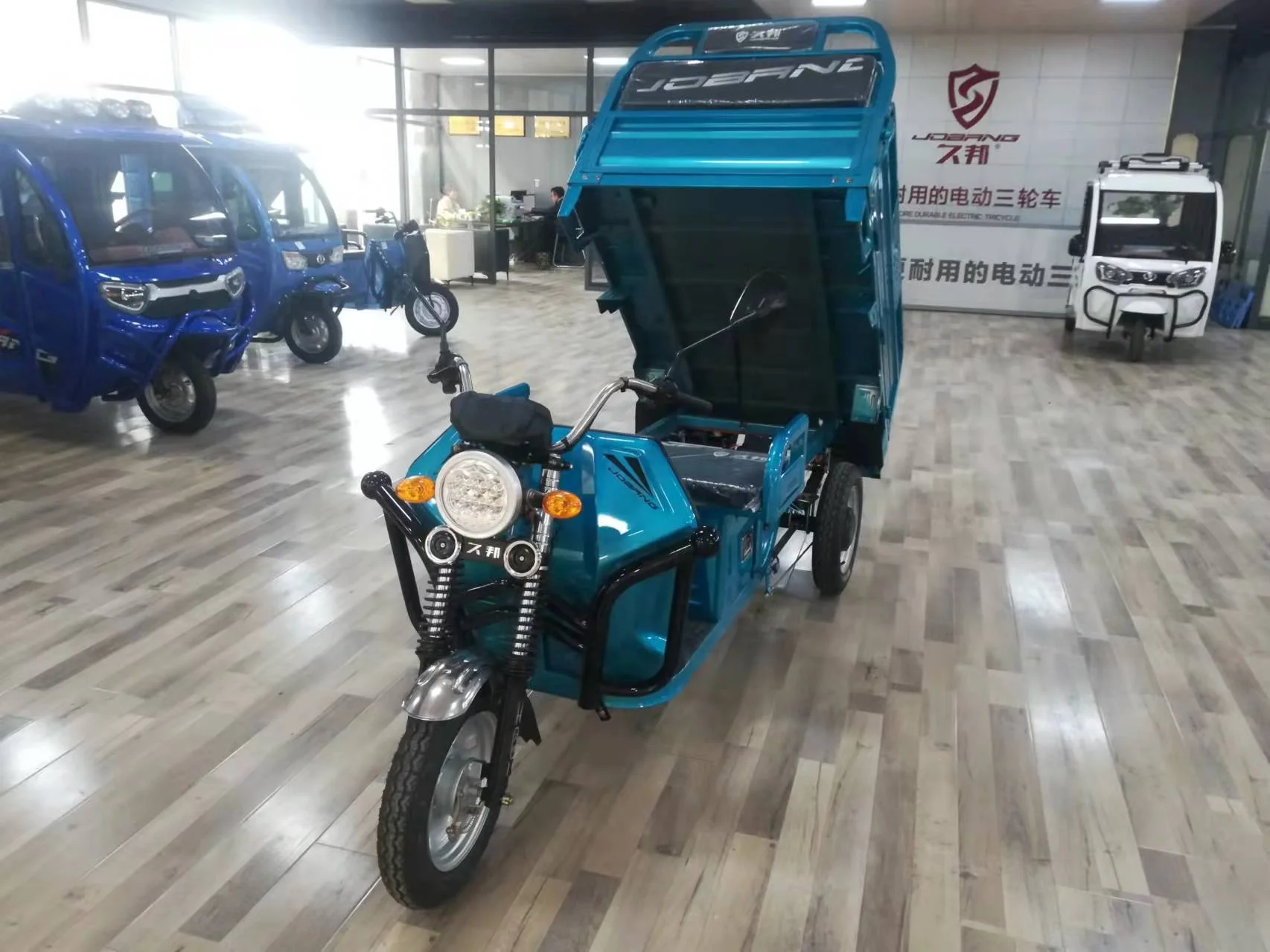Cargo Electric Tricycle 60V 1000W  for Adult from China for Sale