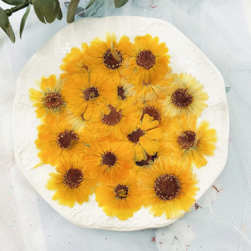 2021 best popular epoxy dried flowers Dried Pressed Flower Calendula can custom artpressed flower resin bookmark