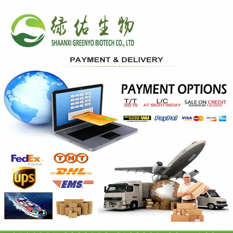 
100% Pure Natural bulk wholesale virgin coconut oil organic coconut oil 