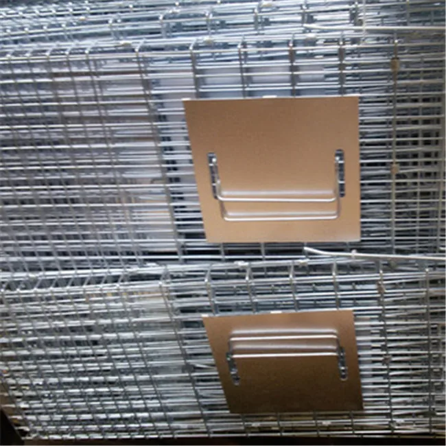 HomeGarden Humane Live Animal Cage Trap 32inch Steel Catch Release Rodent Cage