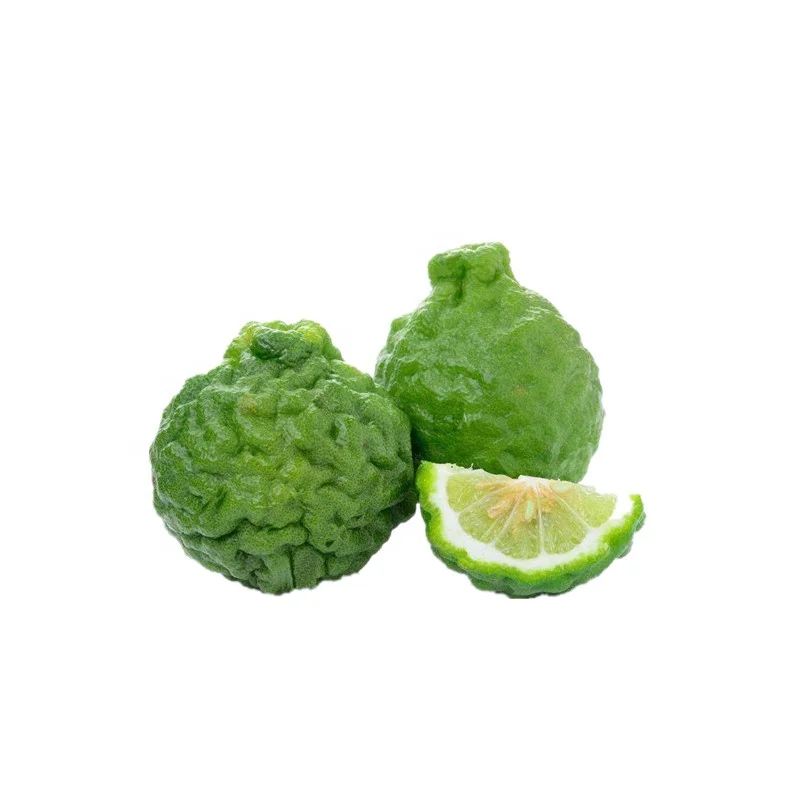High quality citrus bergamot extract powder 30% polyphenols