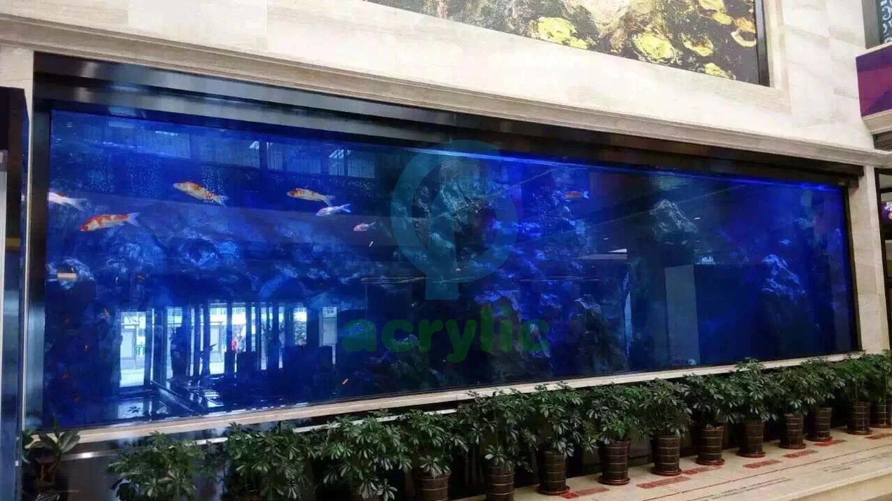PG Home Made Red Sea Farming Aquarium Big Acrylic Fish Tank