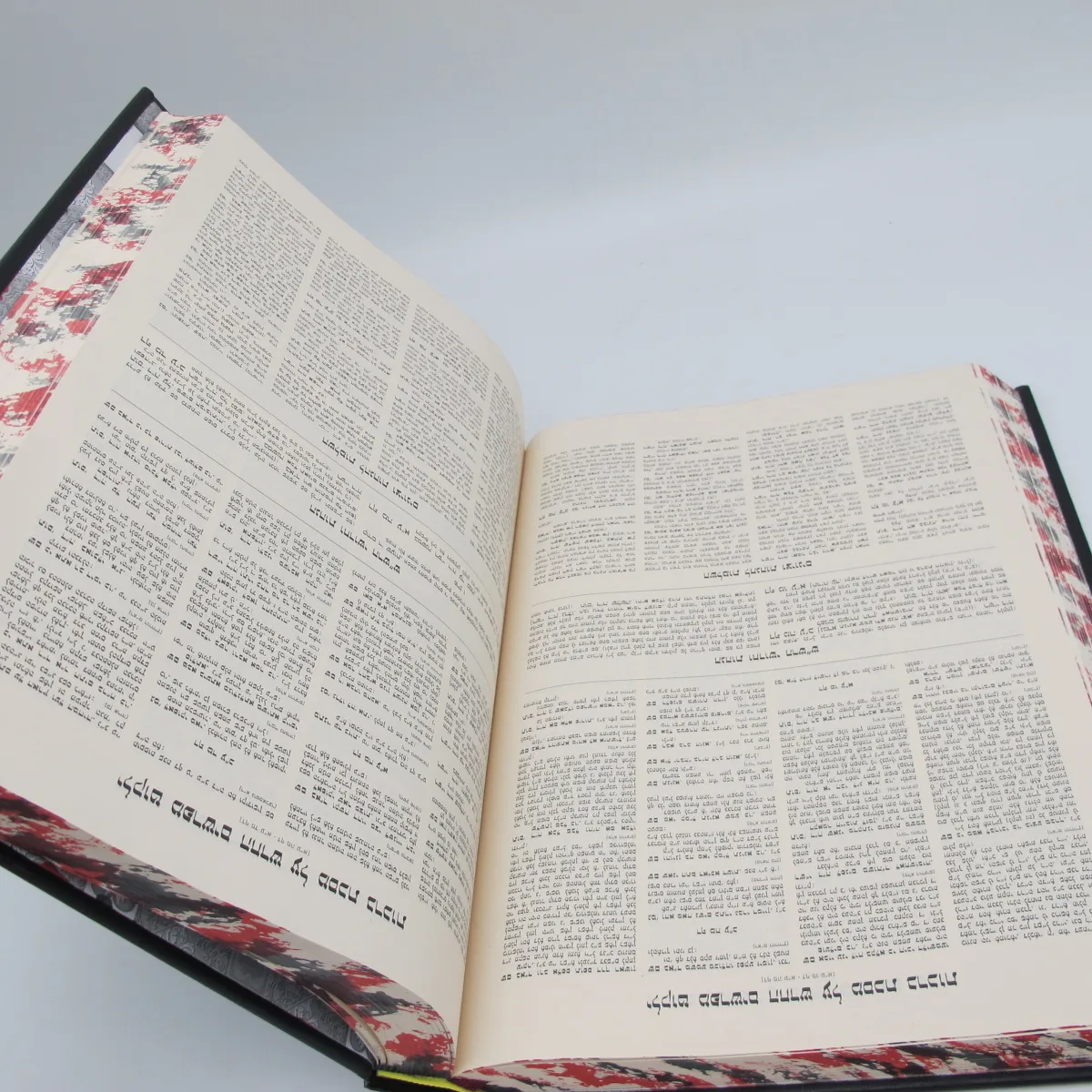 holy  Bible Printing service