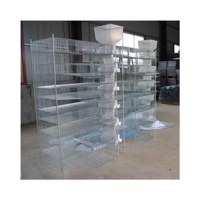 Hot sell automatic egg collecting quail cage for quail farmers around the world