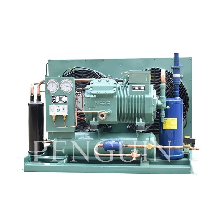 Commercial 6.5HP 4CC6.2 4CES6(Y) Air Cold Refrigeration Compressor Unit With Tube Fin For Fish Vegetables Meet Frozen