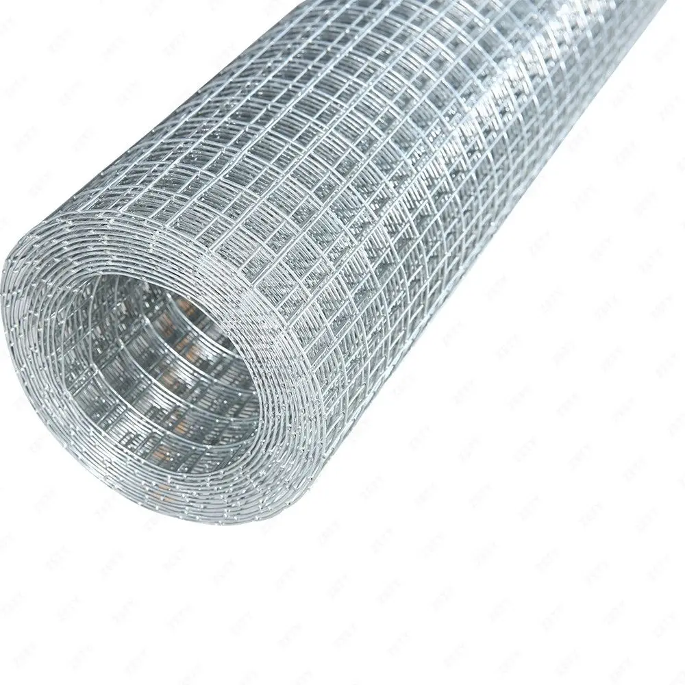Hot galvanized  rust proof  30m welded wire mesh 25x25