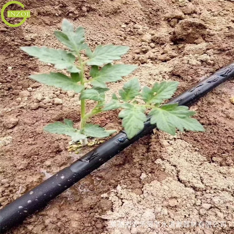 top 0.2mm Toro Drip Tape Irrigation for eggplant