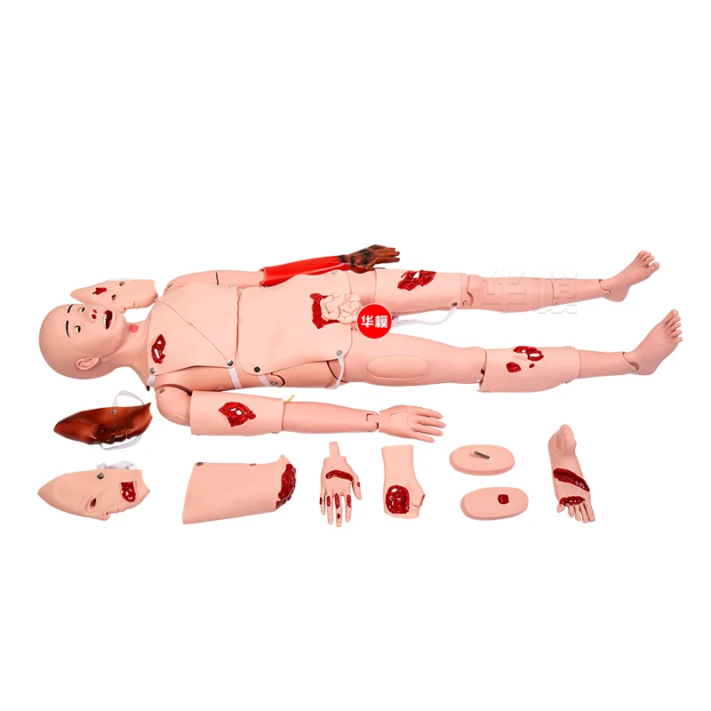 Widely Used Superior Quality Fracture Care Simulation Manikin Wound Emergency Medical Training Mannequin